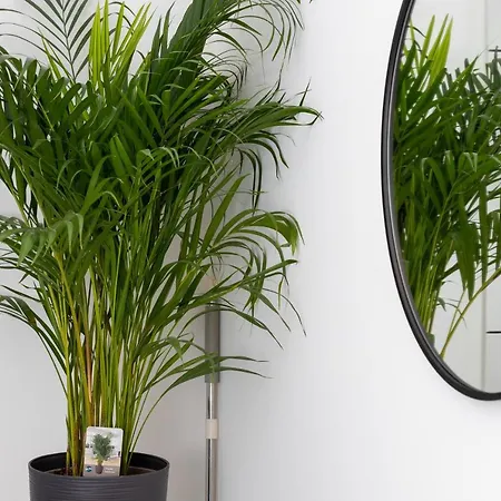 Apartman Awanport Estate By Renters Gdynia