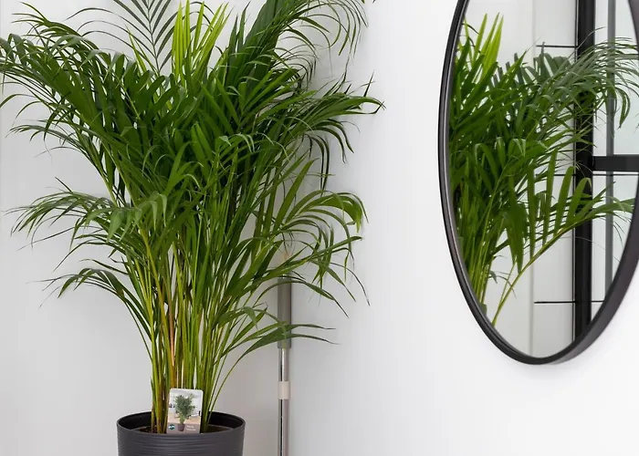 דירה Awanport Estate By Renters גדינייה